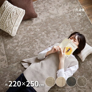 y12/1X11N[|Lzy􂦂Eh_jz _CjOO DKEbh DKXeB[ 220×250cmy3z 􂦂 g[Ή ~ߕt  Vv {