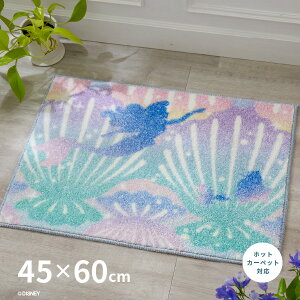 y11/16܂5N[|LzvZX VF Lb`}bg փ}bg DMT-5095 45×60cm AG fBYj[ LN^[ zbgJ[ybgΉ g[Ή ~ߕt