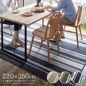 y11/16܂5N[|Lzyh_jEhz{ O XgC 220×250cm y3z _CjOO J[ybg g[Ή I[V[Y XgCv {[_[ ۊ