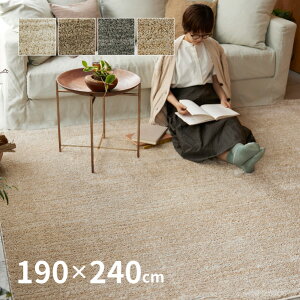 y420`4hX10N[|zz􂦂 h_j O GN 190×240cmy3z { n Vv 킢 I[V[Y ~ߕt  F