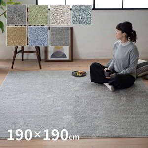 y5X|Cg8{zz􂦂 h_j O t 190×190cmy2.5z { n Vv 킢 I[V[Y ~ߕt  F