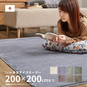 y11/16܂5N[|LzyTCYI[_[z O J[ybg J[ 200×200cmy2.5z I[V[Y n h h_j h ~ TCYH zbgJ[ybgJo[ O}b