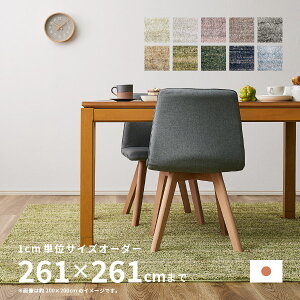 y10X|Cg5{zzyTCYI[_[z O J[ybg 􂦂郉O Xg 261×261cmy4.5z I[V[Y h h_j h ~ TCYH zbgJ[ybg