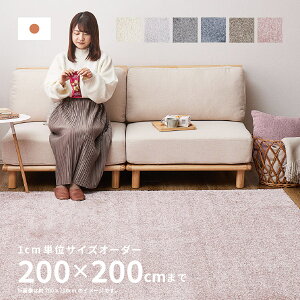 y7X7N[|LzzyTCYI[_[z O J[ybg C~G 200×200cmy2.5z I[V[Y n h h_j ~ AubN ԕ TCYH zbgJ