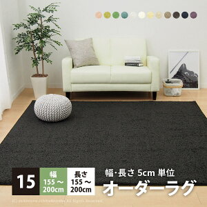 y10X|Cg5{zzyTCYI[_[zy15z155`200×155`200cm Vu Oyz lp^ VM[O O}bg J[ybg  n tėp Jt