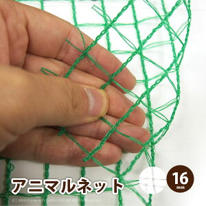 y5X|Cg8{zz{ Y Aj}lbg ChbZ 1.5×50m y16mmz GR16EN16 悯 _Ɨplbg Qblbg hlbg