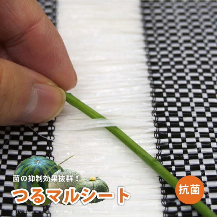 楽天市場 日本製 国産 防草シート つるマルシート シルバーグレー 瓜科 つる巻きシート苔防止 カビ防止 雑草防止 透水シート 畑 通路 農業シート Tm10 約幅1 長さ50m 四季物ひろば 楽天市場 日本製 国産 防草シート つるマルシート シルバーグレー 瓜科 つる巻きシート苔防止 カビ防止 雑草防止 透水シート 畑 通路 農業シート Tm10 約幅1 長さ50m 四季物ひろば