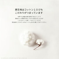 約43×120cm