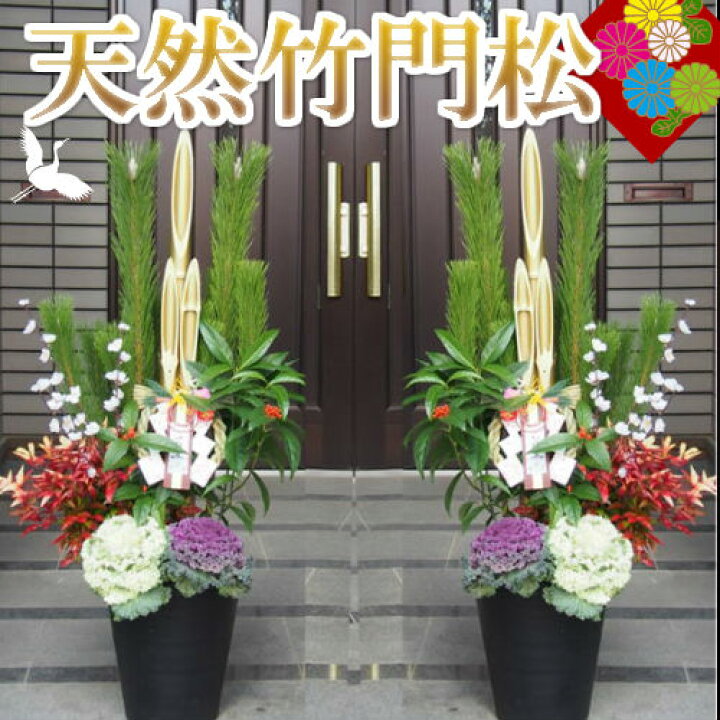 楽天市場 特別仕様 天然竹門松 一対 2個 高さ 1 2m ゴールド竹仕様 ガーデニングショップ四季の里 楽天市場 特別仕様 天然竹門松 一対 2個 高さ 1 2m ゴールド竹仕様 ガーデニングショップ四季の里
