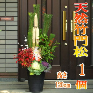 y120cmE1.2mTCYzVR|叼/叼/ǂ܂@110TCXiF1.2mjy͓w\z