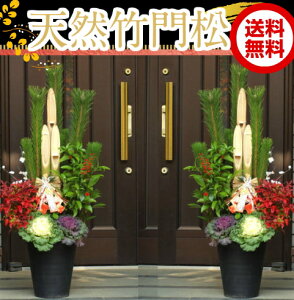 y120cmE1.2mTCYzVR|叼/叼/ǂ܂@1΁i2j10TCXiF1.2mjy͓w\zVR|EtOEI^tNVE痼̐AAō{iI叼