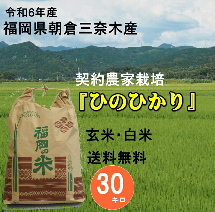 楽天市場】【令和6年産】米.・お米 ひのひかり30kg（玄米）九州産  