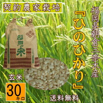 楽天市場】奈良 ヒノヒカリ 30kg 玄米の通販