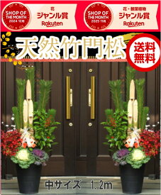 28.29日出荷OK！年内お届可能「楽天ショップ・オブ・ザ・マンス」受賞【120cm・1.2mサイズ】天然竹門松/門松/かどまつ　1対（2個）10号サイス（高さ：1.2m）【お届日指定可能】