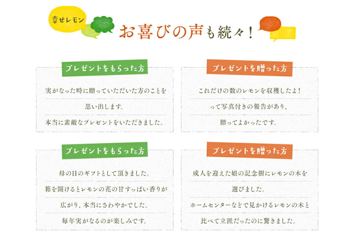 楽天市場 送料無料 幸せレモンの木 四季の里 レモンの木 果樹苗 庭木 鉢苗 植木 苗木 苗 シンボルツリー 常緑樹 実のなる木 国産 ギフト ガーデニング 3年生苗 接ぎ木苗 ガーデニングショップ四季の里