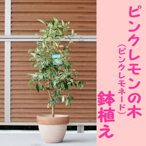 Vi@yzc背̖/EG/hsNl[hhAeRb^iŜ̍F1.`1.2mOj