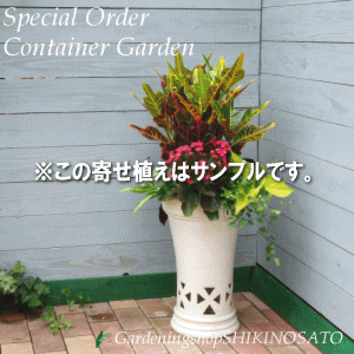 楽天市場】スペシャルオーダー寄せ植え(コンテナガーデン)15,000 楽天市場】スペシャルオーダー寄せ植え(コンテナガーデン)15,000