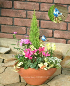 yzyΊReiz݂ȂΊɂȂԔ̊񂹐A[MTCY]CsbNt