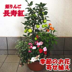 yEMtgɍœKz2025.9tg(qS/Pь/P񂲁jƋG߂̂Ԋ񂹐A