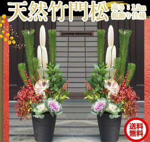 yNEߏdlzVR|叼/叼/ǂ܂@΁i2jF1.2m/120cmVR|EtOEI^tNVE痼̐AAō{iI叼