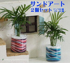 楽天市場 カラーサンド 観葉植物の通販