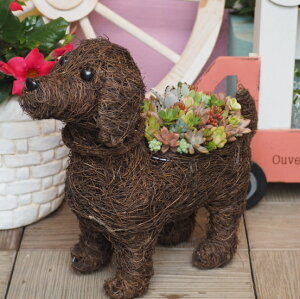 yA̕ΔHz킢񑽓Å񂹐A