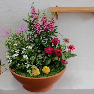 G߂̂ԁiK[fj񂹐A eRb^