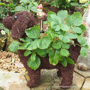 yznbs[(EjChXgx[̐A݂aȂǑ蕨ɂœK