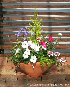 yzyΊReiz݂ȂΊɂȂԔ̊񂹐A[LTCY]CsbNt