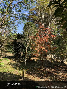 AI_ iF2.5mOj2025.11Be