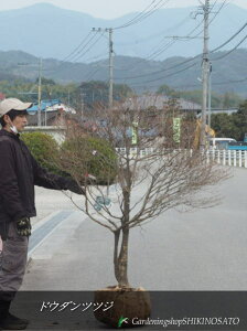 {[hE_ccW iF1.4mOj2024.2Be