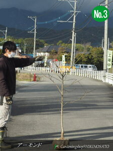 A[h iF1.5mOj2024.2Be