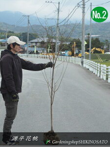 ԓ/QyCniiF1.7mOj2024.3Be