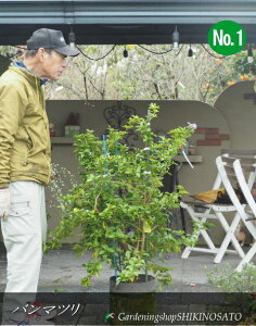 t̃Z[o}c/jICo}c //}cJiF1.1mOj2024.3Be