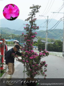 qhccW/˃ccWh厇/IITLh@iF2.6mOj2024.4Be