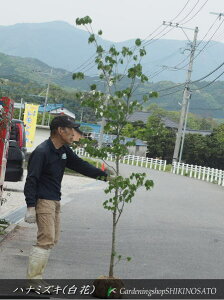 ni~YL/Ԑ؁@ԐFFF2.1mO2024.4Be