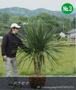 hZi /hZi/jICVNo3iŜ̍F1.8mOj2024.4Be