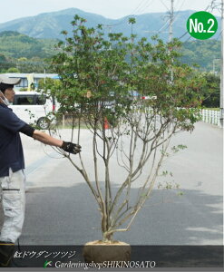 ghE_ccW/xjhE_ccWNo2iF2mOj2024.5Be