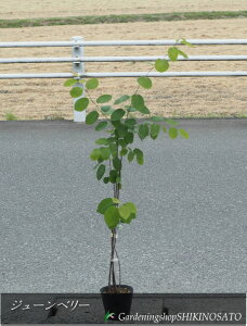 W[x[/Wx[@c؎F1mO2024.5Be