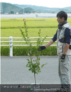 TXx/SghJg[bhhiF1mOj2024.9Be