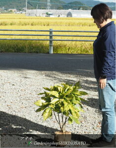 AIL/؁iAILo/ؗtjiF0.6mOj2024.10Be