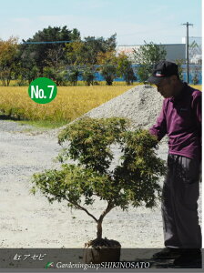 AZr/сhgAZrh No7C9iF1.1mOj2024.10Be