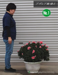 yiz{[茩AUAA@No2 14iF0.7mOEF70cmj