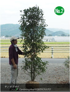 LNZC/؍ҁi2.2mOjNo2@2024.10Be