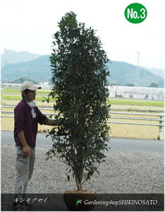 LNZC/؍ҁi2.4mOjNo3@2024.10Be