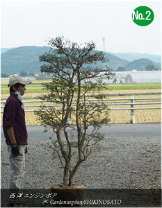 y{[zmjW{NiF2.3mOjNo2@2024.10Be