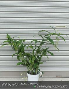 2025.10.22QtyʌzNhEiF0.6mOE5j2025.10Be