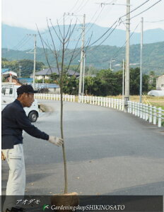 AI_ iF2.4mOj2024.10Be