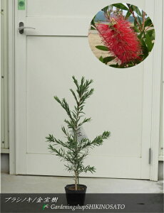 JXe//uVmLiL|EWji@0.6mOj2025.10Be