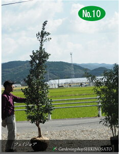 tFCWA/pCibvK@oiF2.6mOj2024.11Be